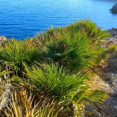 Il Casale San Vito San Vito Lo Capo