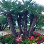 Apartment Il Casale San Vito