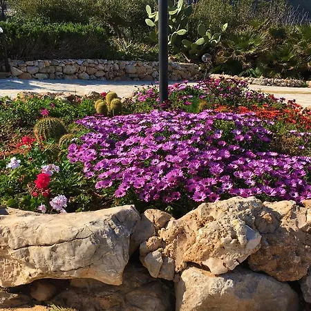 Apartament Il Casale San Vito San Vito Lo Capo