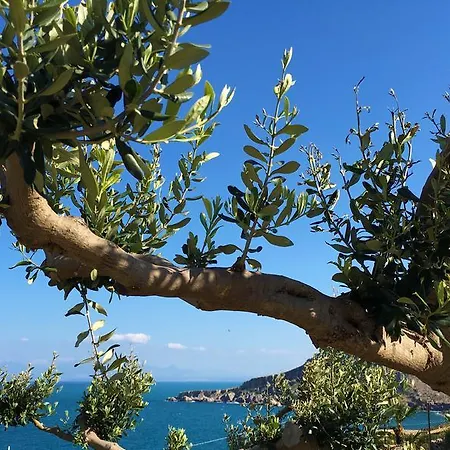 Appartement Il Casale San Vito
